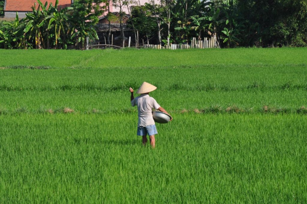 <i><b>Hoi An-065</b></i>